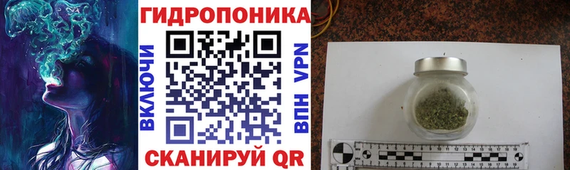 Конопля марихуана Пойковский